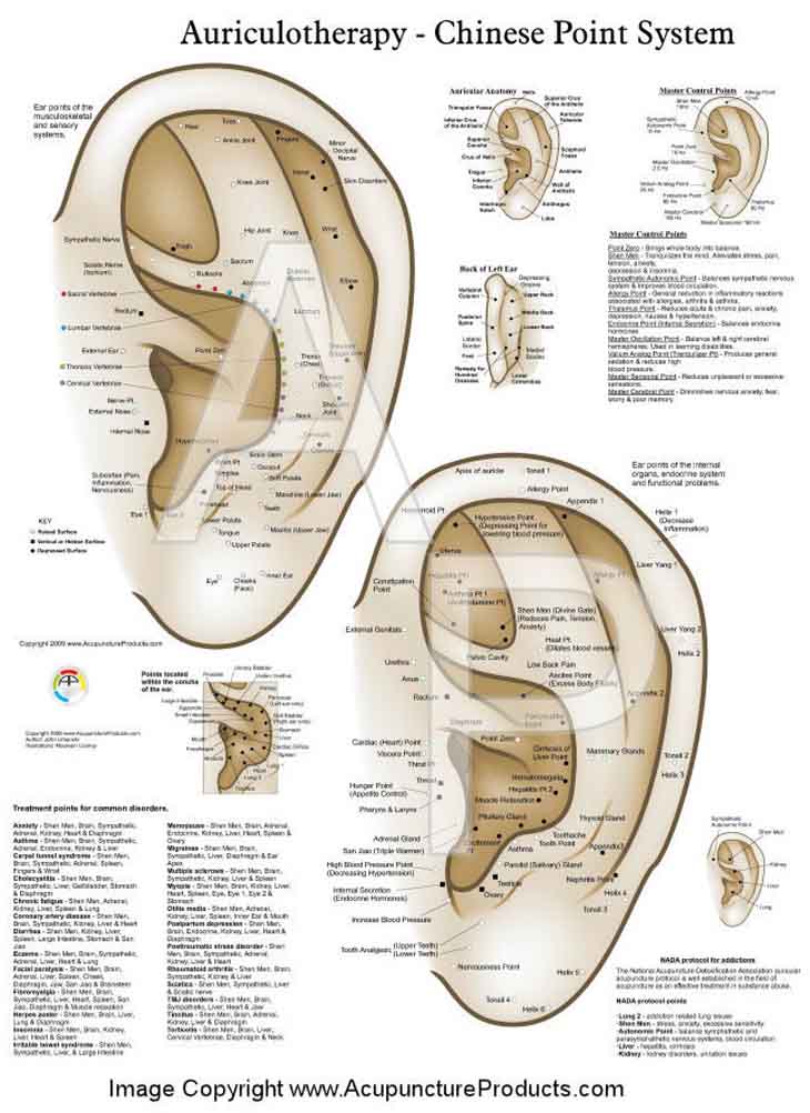 Ear Reflexology Chart