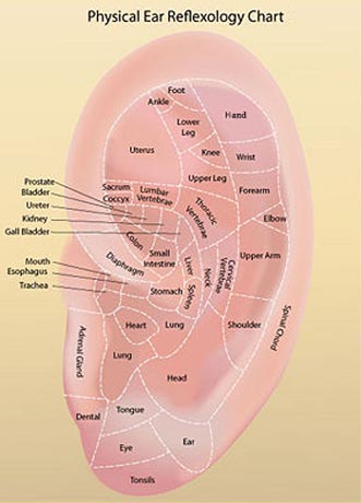 Auricular Acupressure Point Chart