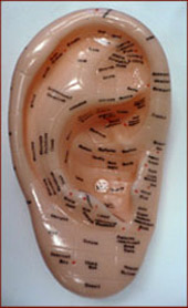 Ear reflexology.