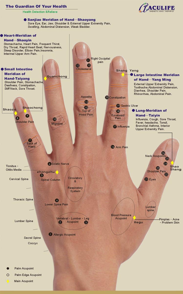 Palm Acupressure Points Chart