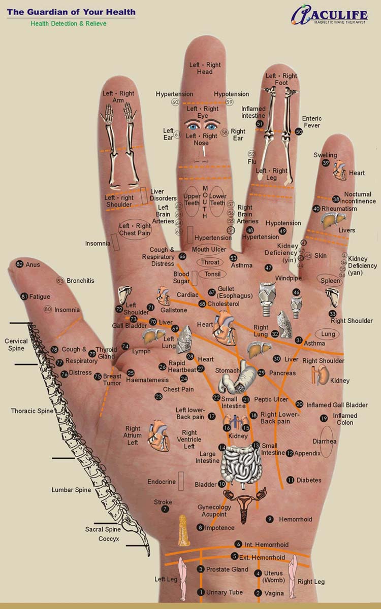Hand reflexology chart: Aculife 1