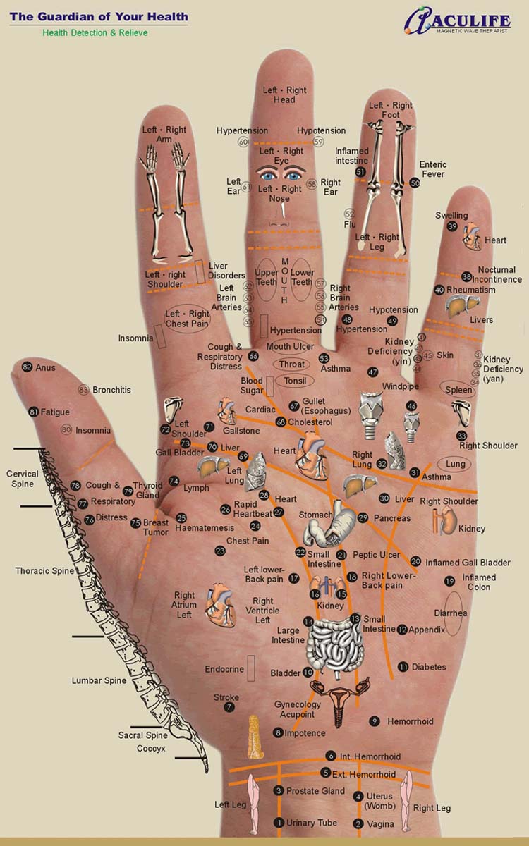 Free Printable Hand Reflexology Chart