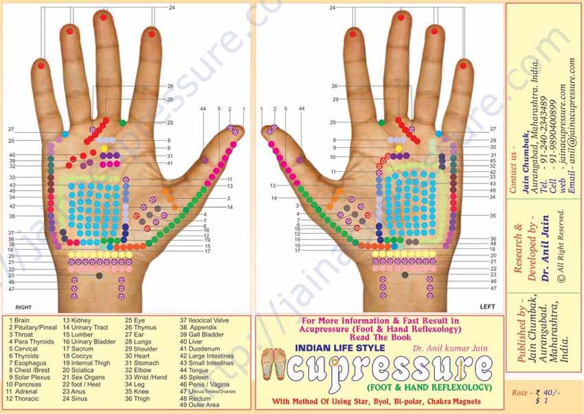 Interactive Reflexology Hand Chart