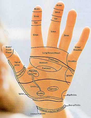 Hand reflexology chart: Dominic Blackmore (2)