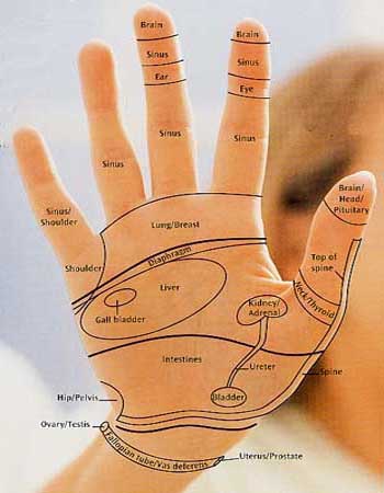 Hand Reflexology Chart Left Hand