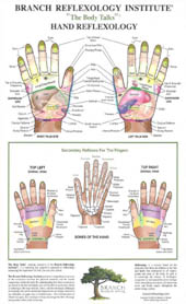 Hand Reflexology Chart Right Hand