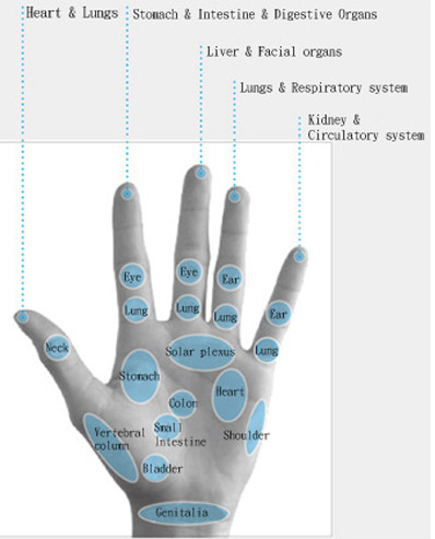 Hand reflexology chart: Breo iPalm520 Hand Massager