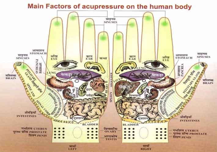 Hand reflexology chart: Divya acupressure therapy