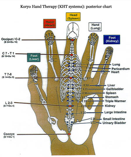 Hand Reflexology Chart Right Hand