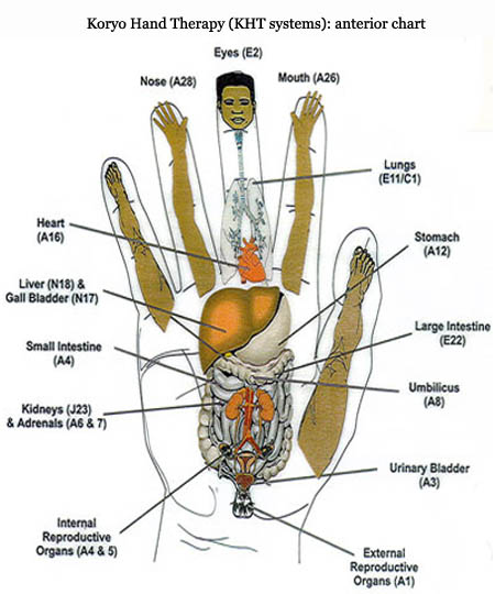 Hand reflexology chart: Koryo Hand Therapy 1 - KHT systems