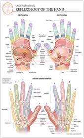 Hand reflexology chart: Stone institute