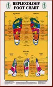 Reflexology foot chart.