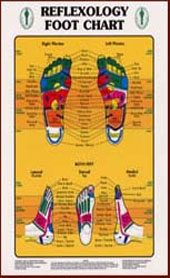 Foot Kinesiology Chart