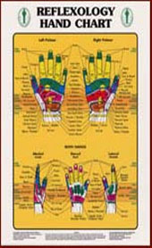 Reflexology hand chart.